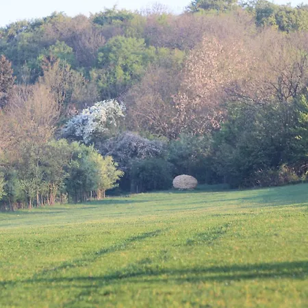 Hotel Zum Herrenhaus