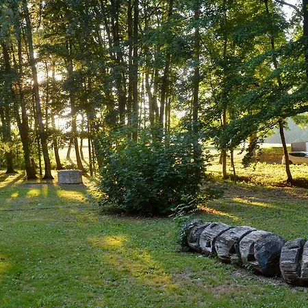 酒店 Zum Herrenhaus Behringen (Thuringia)